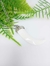 Colar Dente de Marfim - comprar online