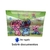 Imagen de Box Ohana 1