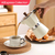 Máquina de Café Espresso - Starmom