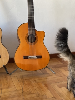 Banner for category Guitar