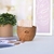 Bowls de algarrobo grabado - comprar online