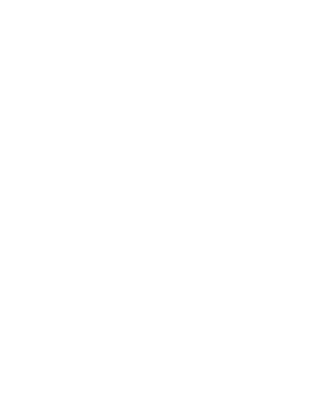 Zabes Brechó