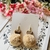 Arete Pompom