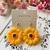 Girasol