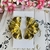 Conjunto Dorado