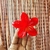 Pinza Hawaiana - Cherry Store Accesorios