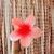 Pinza Hawaiana en internet