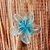 Pinza Hawaiana Crystal - comprar en línea