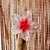Imagen de Pinza Hawaiana Crystal
