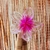 Pinza Hawaiana Crystal en internet