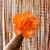 Pinza Flor en internet