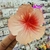 Pinza Hawaiana en internet