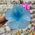 Pinza Hawaiana - Cherry Store Accesorios