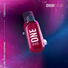 Q2 One EVO en internet