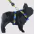 Peitoral H com guia Comfort - comprar online
