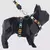 Peitoral H com guia Comfort - loja online
