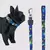 Coleira Estampada com guia Boots&Pets - Abrigo Ranch
