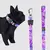 Coleira Estampada com guia Boots&Pets - Abrigo Ranch
