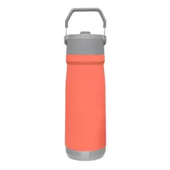 Botella térmica luo 650ml con manija acero!! - Paisagens