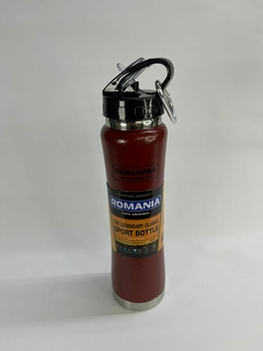 Botella térmica Romania 600ml c/cepillo en internet