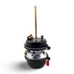 BAL - T3030DD SPRING 30/30