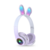 Auriculares Orejas de Conejo PM 08 Rabbit Ear Headset