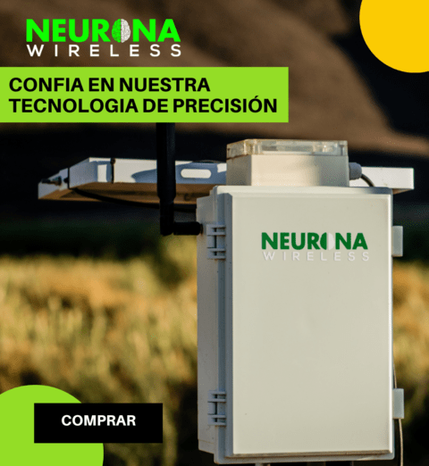 Carrusel 1