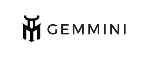 Gemmini Store