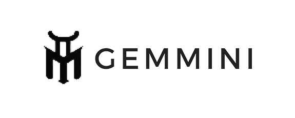 Gemmini Store