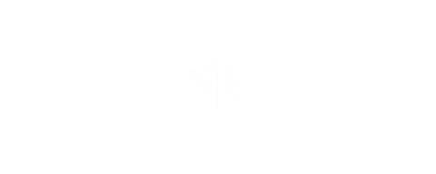 Miss Magic