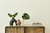 HOME Y DECO