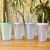 Vaso Glitter 600ml con tapa y sorbete
