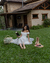 Imagem do Vestido Midi Hortência Off-White
