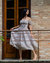 Vestido Midi Camélia - Floral na internet