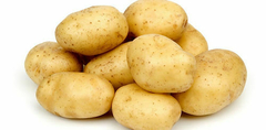 Papa blanca