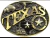 Fivela Nomenclatura TEXAS