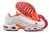 Air Max Terrascape TN Plus na internet