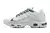 Air Max Terrascape TN Plus