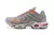 Air Max Terrascape TN Plus