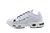 Air Max Terrascape TN Plus