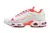 Air Max Terrascape TN Plus