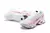 Air Max TN Plus "Salmon" na internet