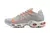 Air Max Terrascape TN Plus