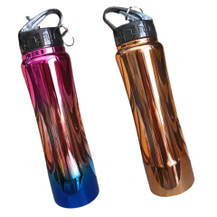 Botella Térmica 750cc - comprar online