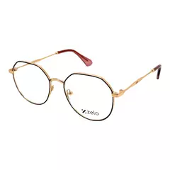 Armacao Metal Zelo ZE801 / DN790 C04 1.B.5