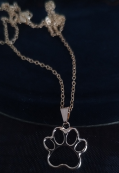 Collar Golden Pet