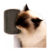 Rascador Esquinero Para Gatos Ideal Para Pared Cepillo Suave