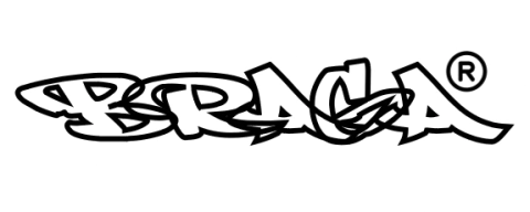 Braga company