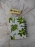 Cuaderno A6 anillado en internet