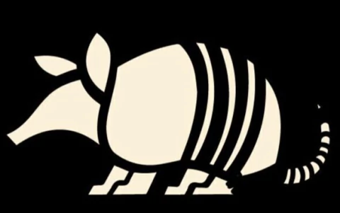 Payunia